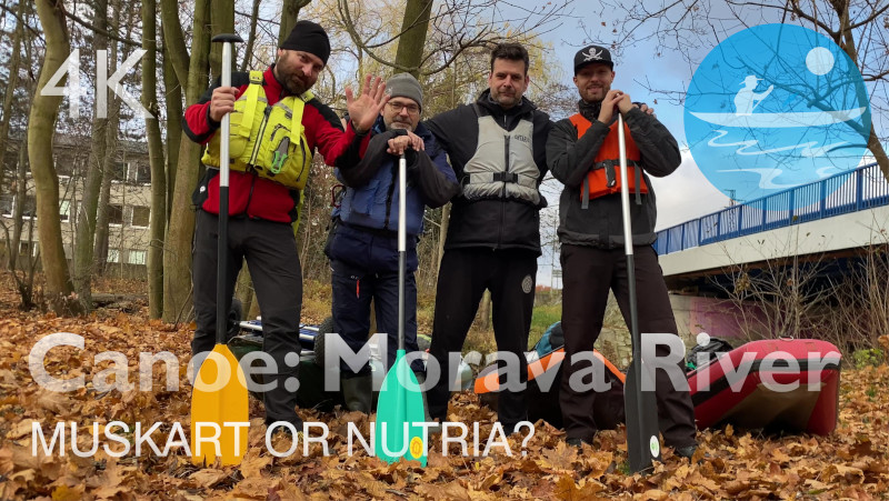 Splutí řeky Moravy | Byla to ondatra nebo nutrie? | 3 lodě: Orinoco, Pálava a Itiwit
