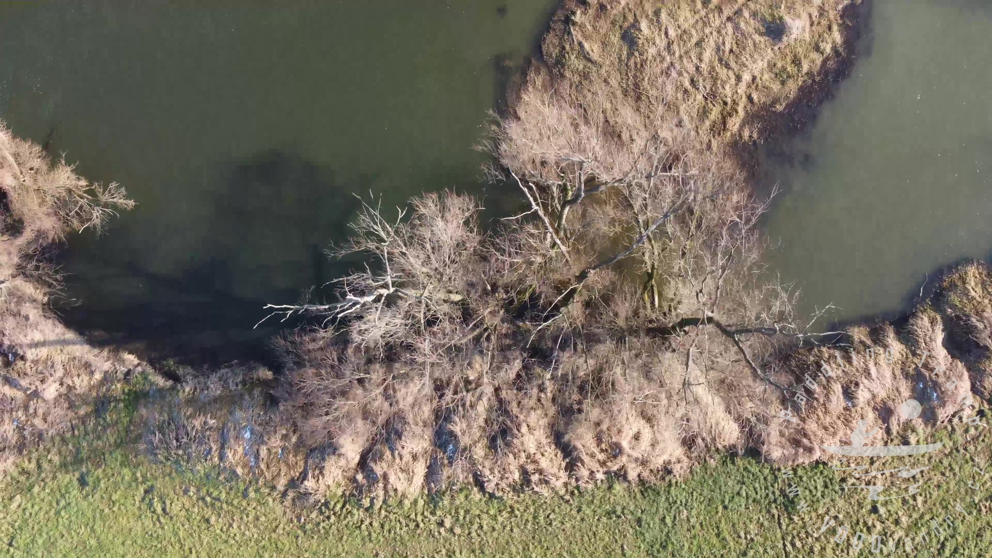 Přelet dronem nad řekou Opavou | První let s DJI mini 2 | Dron 4K
