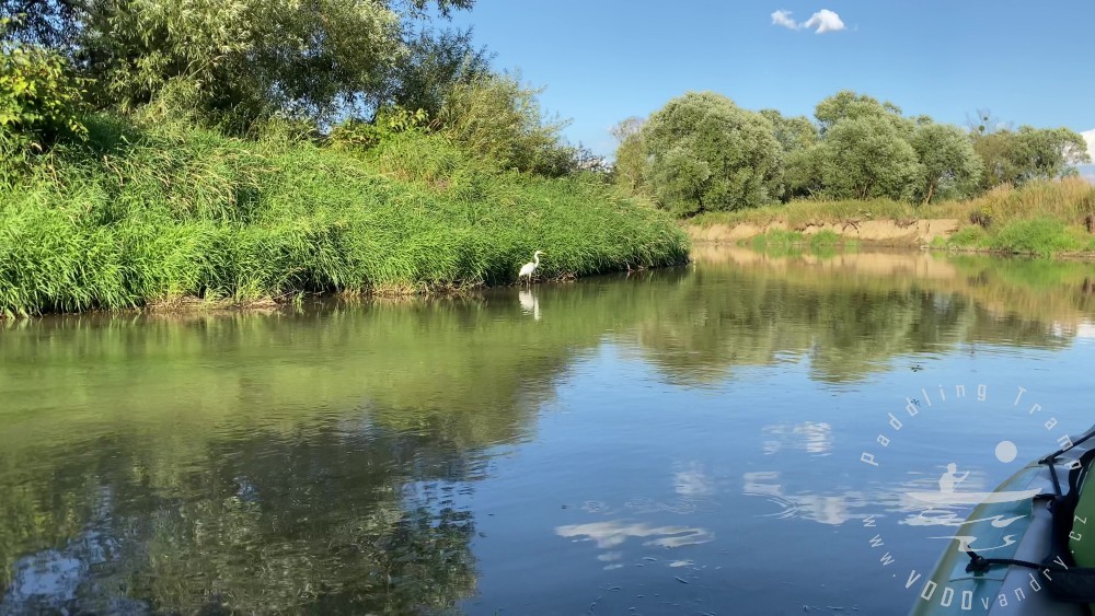 Odpolední plavba s kamarády | Vozík na kánoe | Řeka Opava | Gumotex Pálava