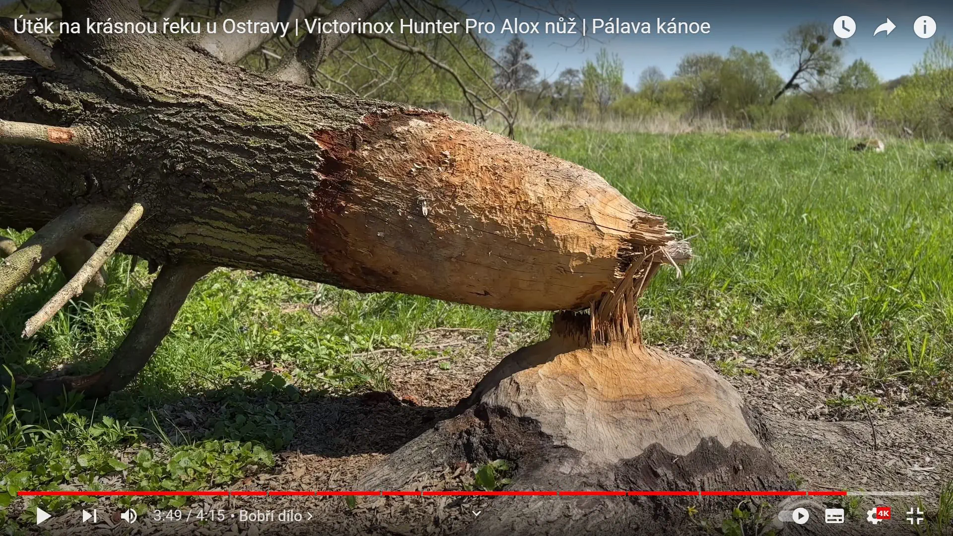 Útěk na krásnou řeku u Ostravy | Victorinox Hunter Pro Alox nůž | Pálava kánoe
