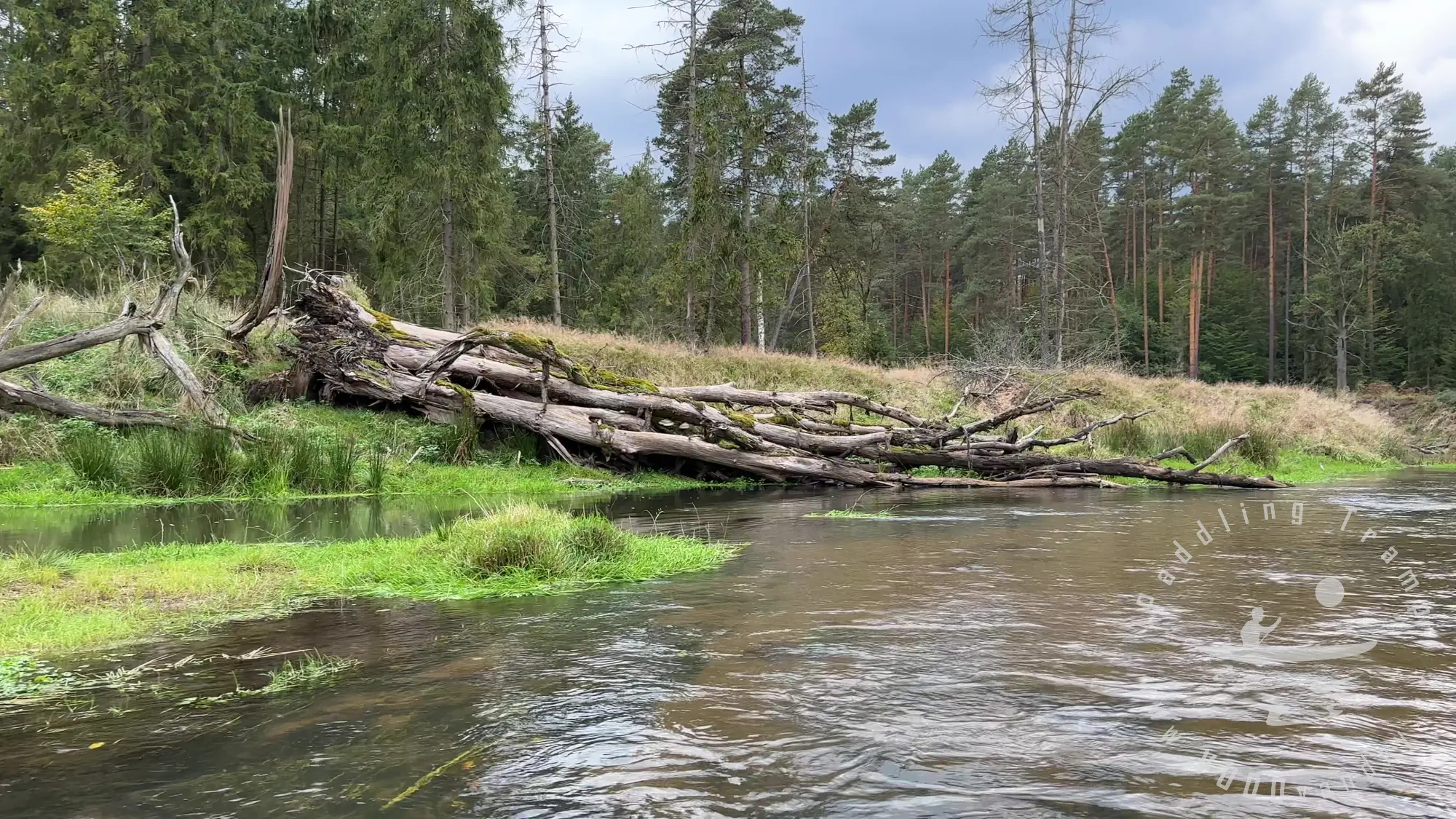 Jak jsme sbírali hřiby z lodě | Polsko - Mała Panew | Krásná podzimní řeka